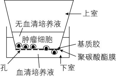 试题资源网 https://stzy.com