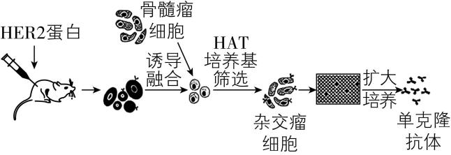 试题资源网 https://stzy.com