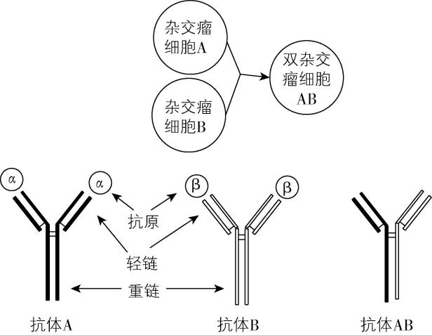 试题资源网 https://stzy.com