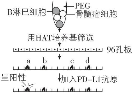 试题资源网 https://stzy.com