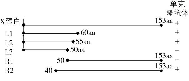 试题资源网 https://stzy.com