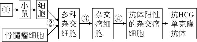 试题资源网 https://stzy.com