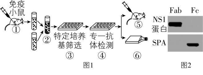试题资源网 https://stzy.com