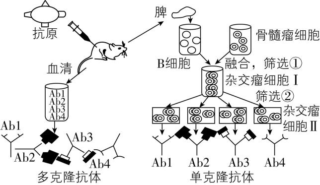 试题资源网 https://stzy.com