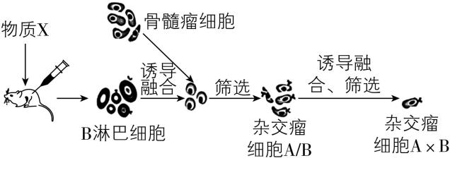 试题资源网 https://stzy.com
