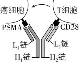 试题资源网 https://stzy.com