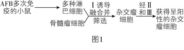 试题资源网 https://stzy.com