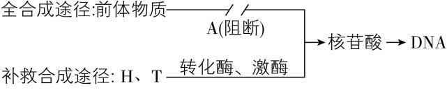 试题资源网 https://stzy.com