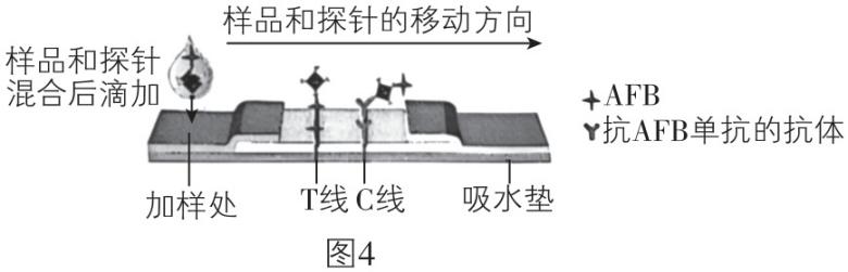 试题资源网 https://stzy.com