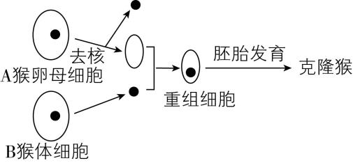 试题资源网 https://stzy.com
