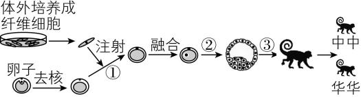 试题资源网 https://stzy.com