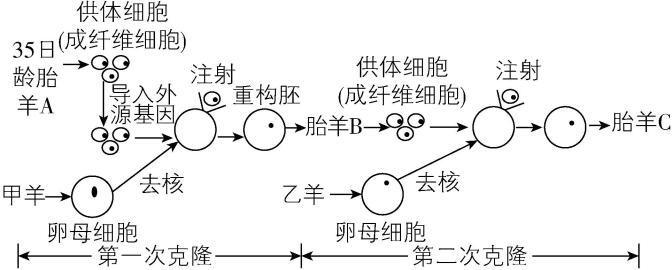 试题资源网 https://stzy.com