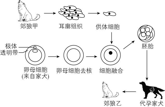 试题资源网 https://stzy.com