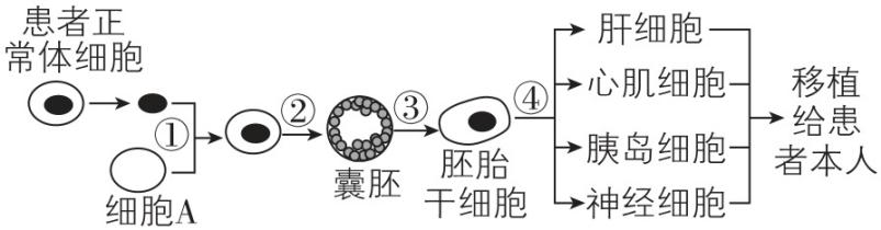 试题资源网 https://stzy.com