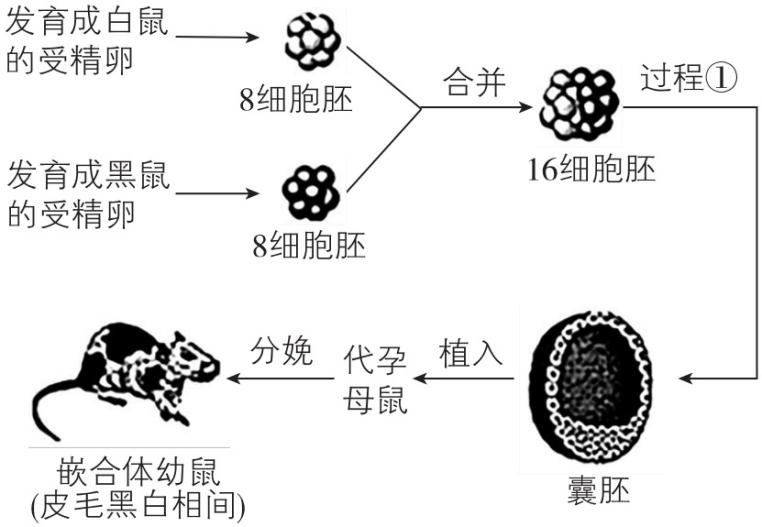 试题资源网 https://stzy.com