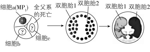 试题资源网 https://stzy.com