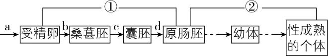 试题资源网 https://stzy.com