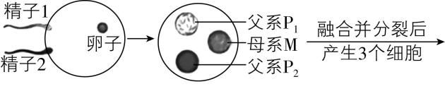 试题资源网 https://stzy.com