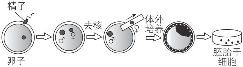 试题资源网 https://stzy.com
