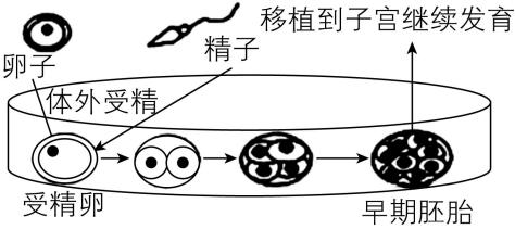 试题资源网 https://stzy.com