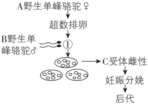 试题资源网 https://stzy.com