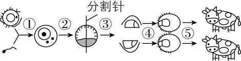 试题资源网 https://stzy.com