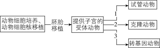 试题资源网 https://stzy.com