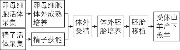 试题资源网 https://stzy.com