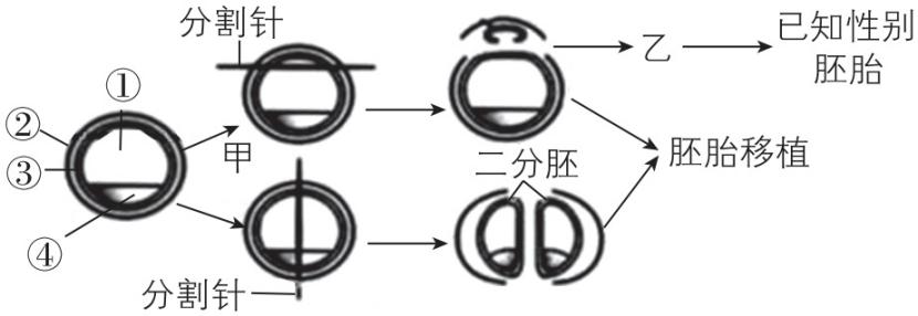 试题资源网 https://stzy.com