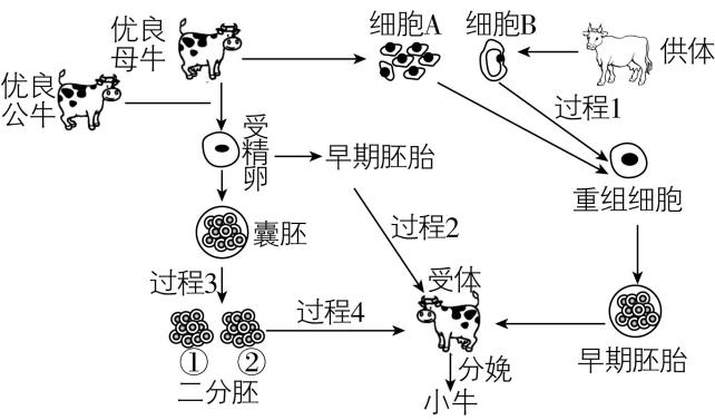试题资源网 https://stzy.com