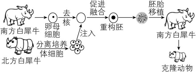 试题资源网 https://stzy.com