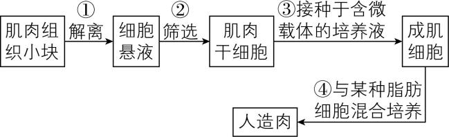 试题资源网 https://stzy.com