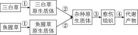 试题资源网 https://stzy.com