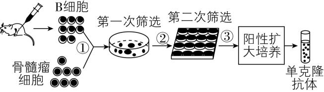 试题资源网 https://stzy.com