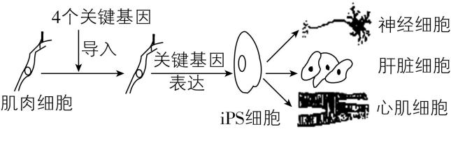 试题资源网 https://stzy.com