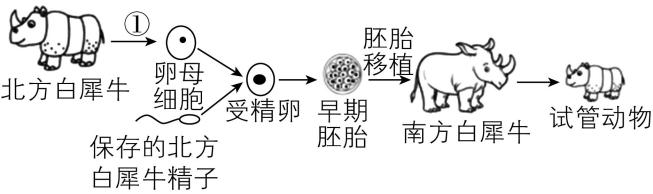 试题资源网 https://stzy.com