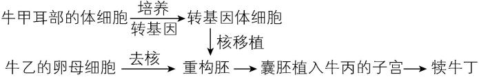 试题资源网 https://stzy.com
