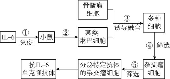 试题资源网 https://stzy.com