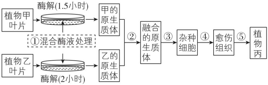试题资源网 https://stzy.com