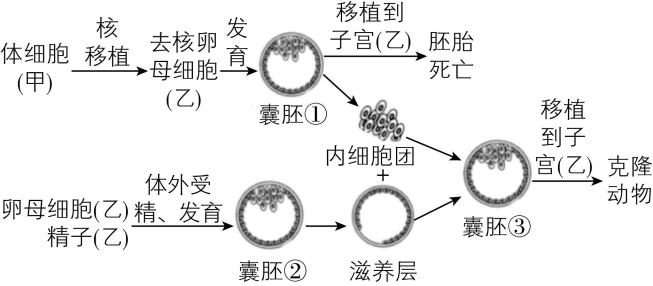 试题资源网 https://stzy.com