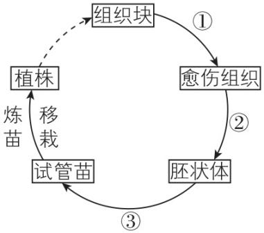 试题资源网 https://stzy.com