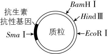 试题资源网 https://stzy.com