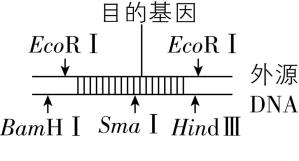 试题资源网 https://stzy.com