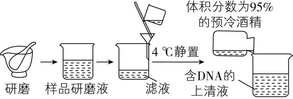 试题资源网 https://stzy.com