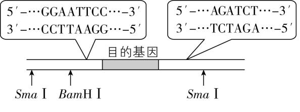 试题资源网 https://stzy.com