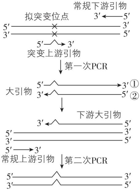 试题资源网 https://stzy.com