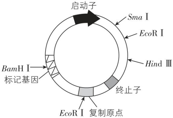 试题资源网 https://stzy.com