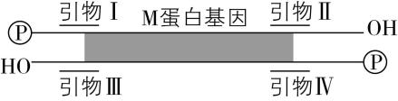 试题资源网 https://stzy.com