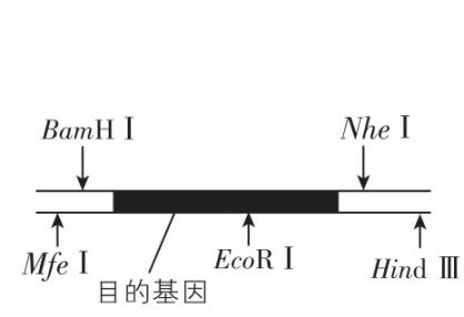 试题资源网 https://stzy.com
