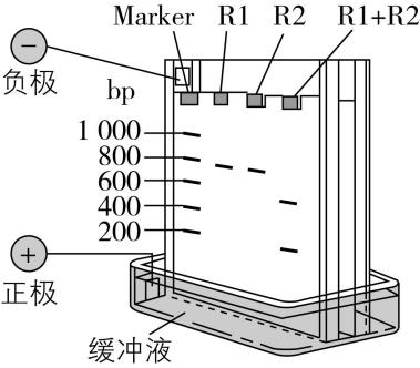 试题资源网 https://stzy.com